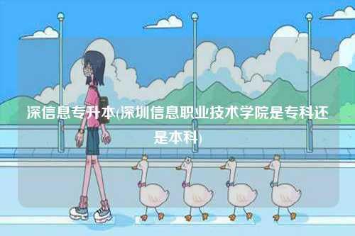 深信息專升本(深圳信息職業技術學院是專科還是本科)-圖1