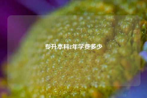 專升本科2年學(xué)費(fèi)大概要花多少-圖1