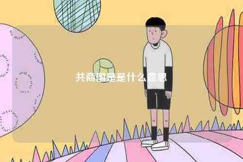 共商國是是什么意思-圖1