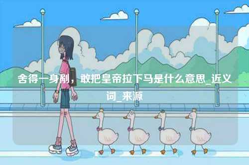 舍得一身剮，敢把皇帝拉下馬是什么意思_近義詞_來源-圖1